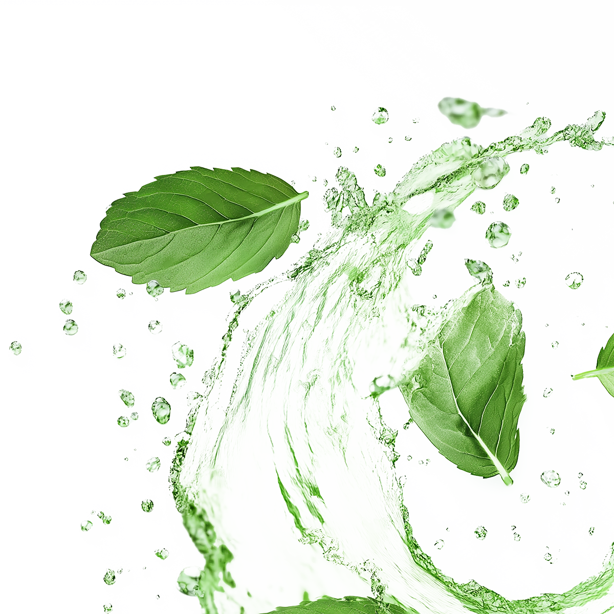 Service/Feature Image